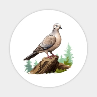 Collared Dove Magnet